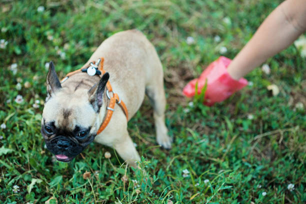 Cleanup & Essentials